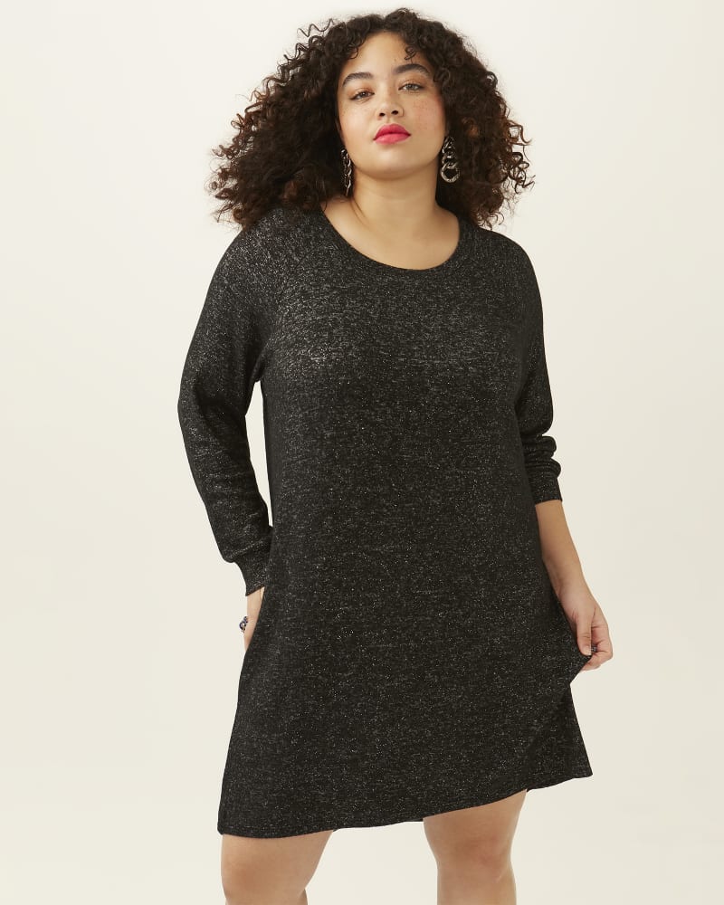 Front of 5'8.5" model wearing a plus size Pattie Crewneck Dress in Charcoal Grey / Black by Hiatus. | dia_product_style_image_id:274021